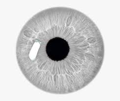 Stream tracks and playlists from grey.png on your desktop or mobile device. White Eye Png Eye Stickers Transparent Grey Filter Eye Lens Png Hd Png Download Transparent Png Image Pngitem