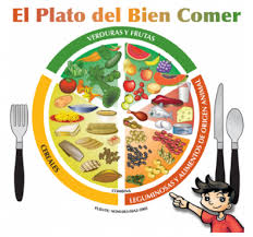 En el plato del buen comer, cada uno de los grupos ocupa el mismo espacio, por lo que ninguno es más importante que otro. Conoce El Plato Del Bien Comer Un1on Guanajuato