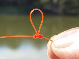 Check spelling or type a new query. Noeud De Potence Un Noeud De Peche Tres Important Pour Le Pecheur