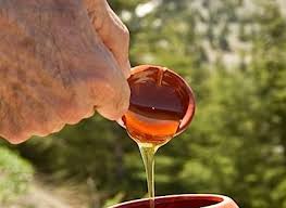 Cedar Honey Taste Of Beirut