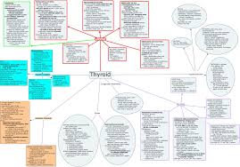 Everything About Thyroid Thyroid Disorders Thyroid Endocrine Disorders