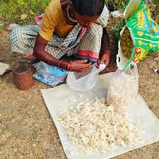 Image result for Dioscorea dregeana