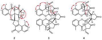 Image result for Ethulia vernonioides