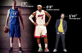 The Perils Of Paul Sturgess The Tallest Basketball Player In The World Lebron James Heat Basketball News Basketball Players