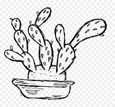 Sep 30, 2020 · 187. 6 Cactus Drawing 5 Cartoon Hd Png Download Vhv