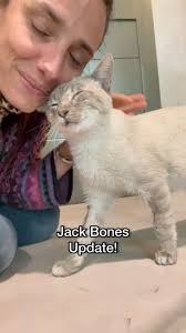 Jack Bones is a miracle cat. He survived the worst abuse after being beaten  and thrown out