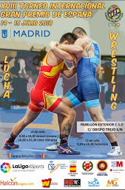 La noción de «deporte de combate» es diferente de la de «arte marcial» y a la de sistema de combate pues, aunque pueden coincidir en varias técnicas y tácticas, son totalmente diferentes en su objetivo. Torneo Internacional Gran Premio De Espana Federacion Lucha Comunidad Andaluza