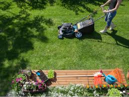 For many of us, hydrogen peroxide was one of the first things we put on a cut or a wound, but that is less recommended nowadays. 9 Tips To Keep Your Garden And Yard In Top Shape