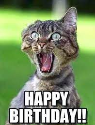 101 Funny Cat Birthday Memes For The Feline Lovers In Your Life Funny Happy Birthday Pictures Funny Happy Birthday Meme Cat Birthday Memes