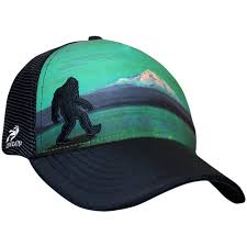 From knit prints by riley blake and unique timeless treasures novelties, to michael miller minky and shannon fabrics embrace® double gauze, discover many types of safe and comfortable fabrics perfect for dressing your little ones. Bigfoot Hood Trucker Hat Athletic And Lifestyle Gear At Headsweats