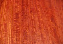 I was driving into orroroo and passed a sign to the giant red gum tree. Roter Eukalyptus Wikipedia