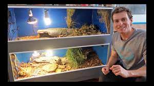 Conor lawless via flickr creative commons. Blue Tongue Lizard Enclosure Set Up Youtube