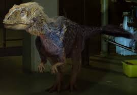 It is possible to down load these photograph, simply click download image and save image to your tablet. Ozraptor Ex515 Wiki Fandom