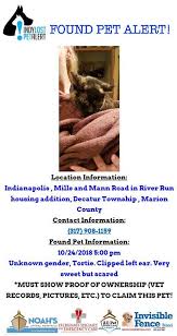 Clipped ear cat sanctuary, conroe, tx. Found Cat Alert Swside Indpls Tortie Indy Lost Pet Alert Facebook