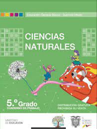 Libro de texto del estudiante para descargar en pdf de lengua y literatura de 5 año grado por el ministerio de educacion. Quinto Grado Respuestas Cuaderno De Trabajo De Estudios Sociales 5 Resuelto Libro De Lengua Y Literatura Resuelto 2021 Basica Y Bachillerato Foros Ecuador Los Cuadernos De Trabajo De Quinto Grado
