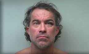 Florence vehicle theft suspect punches police chief during arrest, faces  more charges