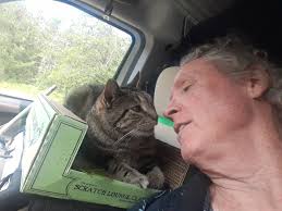 Are sealed melted ice packs allowed