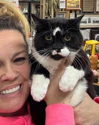 My heart is just broken 💔