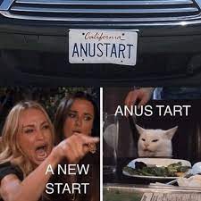 Fine Collection Of Woman Yelling At Cat Memes I Can Has Cheezburger