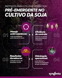 Herbicida Eddus® | Portal Syngenta