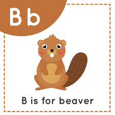 Persons using assistive technology might not be able to fully access information in this file. Learning English Alphabet For Kids Letter B Cute Cartoon Beaver 2529430 Vector Art At Vecteezy