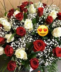 Bewertungen über florist oranje blumen, hessen, telefonnummern, adressen, stunden. Nicht Vergessen Bald Oranje Blumen P F Overdevest Gmbh Facebook