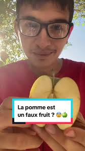 La vérité sur la pomme : un faux fruit ? 🍏