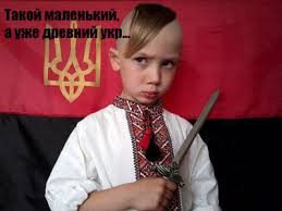 Полиция задержала подозреваемых в обстреле маршрутки во Львове - Цензор.НЕТ 778