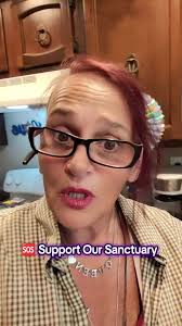 Bandana Eats Beef Live