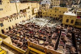 5441 brown blue 83 stashed. Visiting The Leather Tanneries Of Fez In Morocco North Africa