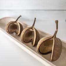 Image result for Buchnera nuttii