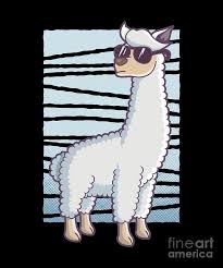 There are three living species of camels. Funny Mammal Alpaca Guanaco Camel Like Animal Wildlife Gift Llama With Sun Glasses Digital Art By Thomas Larch