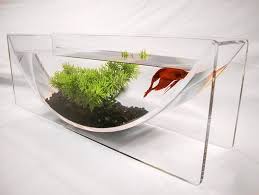 Pin By Design Milk On Home Furnishings Betta Fish Bowl Fish Tank Fish Home