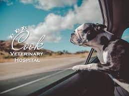 Welcome to naticook veterinary hospital. Cook Veterinary Hospital Home Facebook