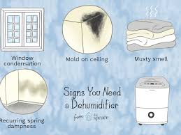 What is the best setting for my dehumidifier? Signs You Need A Dehumidifier