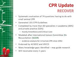 Wendy Blount Dvm Cpr Update Recover Ppt Download