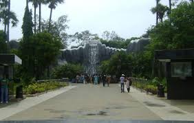 Arignar Anna Zoological Park Chennai Ticket Price Timings Address Triphobo