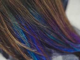 20130729 P7290108 Hair Streaks Peacock Hair Color Hair