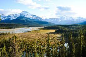 Saskatchewan's population used to be primarily rural but it is gradually becoming more urban. Life In Saskatchewan Canadian Provinces Canadianvisa Org