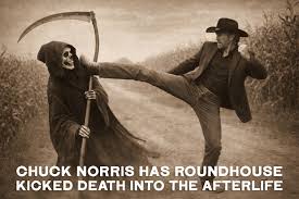Chuck Norris has roundhouse kicked Death into the afterlife. #ChuckNorris