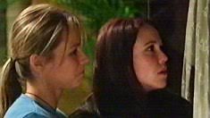 Neighbours: The Perfect Blend