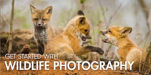 Get Started with Wildlife Photography