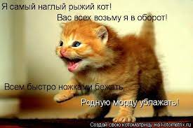 Котоматрица: Я самый наглый рыжий кот! Вас всех возьму я в оборот! Всем  быстро ножками
