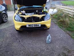 Image result for Sunmist Yellow 2001 Puma