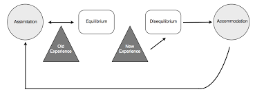 File Flow Chart Of Piagets Adaption Png Wikipedia