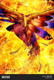 We hope you enjoy our growing collection of hd images to use as a background or home screen for your smartphone or computer. Legendary Phoenix Bird Image Photo Free Trial Bigstock