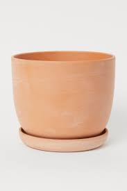 Sure, you will need to clean these pots at your home, but it's a small inconvenience given that you can get all these pots for free or at a very small price. Plant Pot And Saucer Terracotta Home All H M Gb Large Plant Pots Potted Plants Large Plants