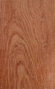 Image result for Guibourtia coleosperma