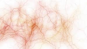 Optic Nerve And Blood Vessels Fire Stock Footage Video 100 Royalty Free 3217969 Shutterstock But this video is now updated. optic nerve and blood vessels fire stock footage video 100 royalty free 3217969 shutterstock
