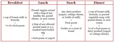 6 Month Old Baby Meal Plan Best Menu Template Design